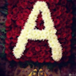 Bild von Ahmed Zeaida