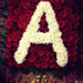 Bild von Ahmed Zeaida