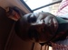 Image de Teebam 