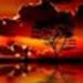 صورة Anoop Verma