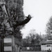 Image de Lydia