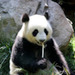 Image de Ladyk