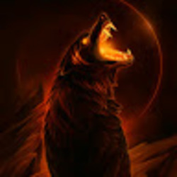 صورة D Netic