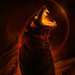 Bild von D Netic