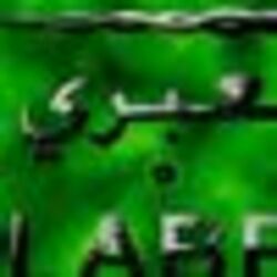 Bild von Al Abri Al Abri