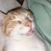 Image de Tino1811