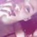 의 이미지 Rihab Jebali