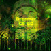 এর ছবি Dreamer Cs Go