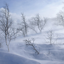 Image de Oleksandr Pavliuk