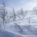 Image de Oleksandr Pavliuk