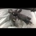 Изображение на Mo Kater