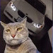 Image of Simon Amv