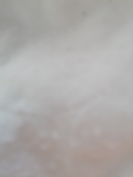 صورة Kirils Iljins 
