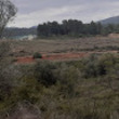 Image of Alex170034
