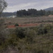 Image of Alex170034