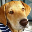 Image of Jake Jake