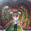 Image de Somchai Saewa