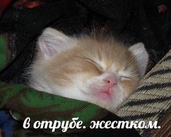 Image de Gekelberexaynd