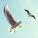 Image de Sazxc Vbnm