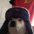 Obrázek Yago Suo