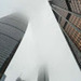 Bild von Fog S