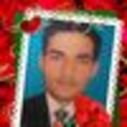 படம் Mohammad Waseem