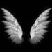 صورة Sombre Ss