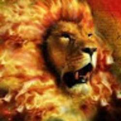 Pilt Berat Aslan 81