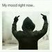 Immagine di Dude55