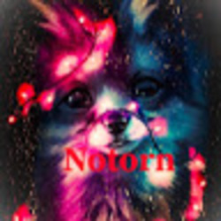 Vaizdas Notorn