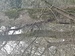 Image de Leeuwen.App