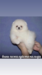 Image of 228 1488