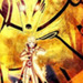 Image de Thomas Gamer88