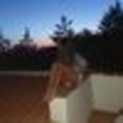 Image de Maja98