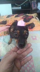 Image de Seltbhmg