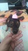 Image de Seltbhmg