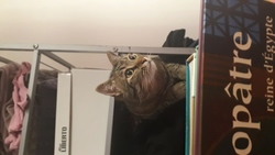 Image de Alyssa V