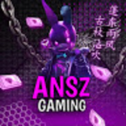 படம் Ansz Gaming