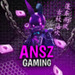 படம் Ansz Gaming