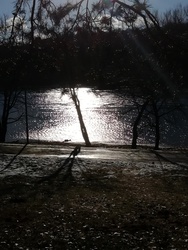 Изображение на Vilius 
