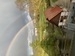 Image de Efnbk