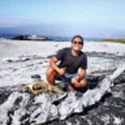Afbeelding van Wei Siong Ley