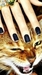 صورة Ann3969