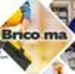 Image de Brico Ssine